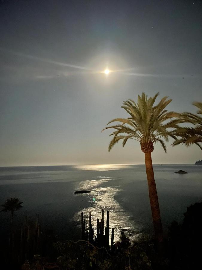 El jardin Botánico Villa LUZ Altea Esterno foto
